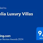 Orelia Luxury Amoopi