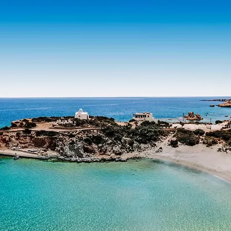 Orelia Luxury Amoopi