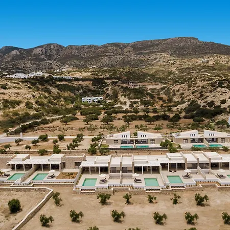 Orelia Luxury