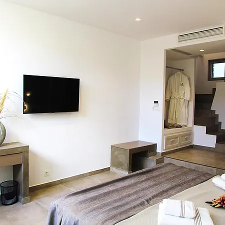 Orelia Luxury Amoopi