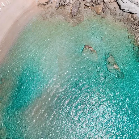 فيلة Orelia Luxury